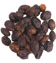 Extracto de fruta de palma de durazno para tratar la incontinencia urinaria